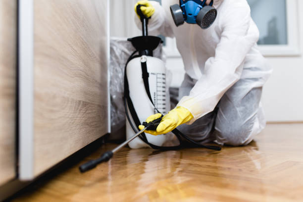 Best Pest Removal Services  in East Point, GA