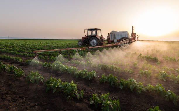 Best Mosquito Control Services  in East Point, GA