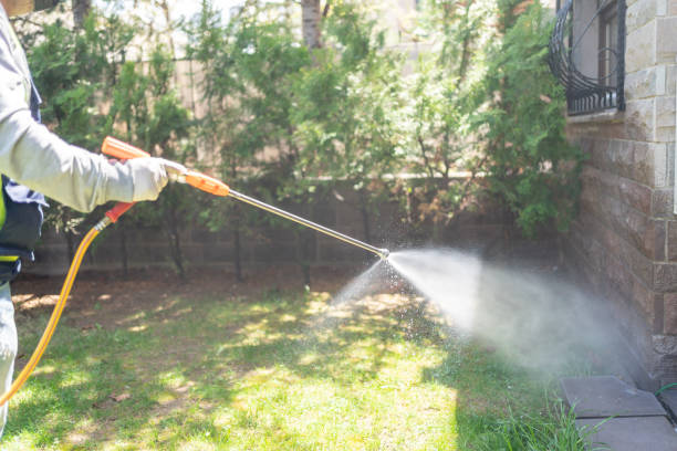 Best Mosquito Control Services  in East Point, GA