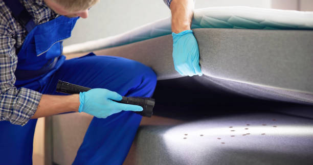 Best Cockroach Control Services  in East Point, GA