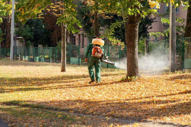 Best Wasp Removal Services  in East Point, GA